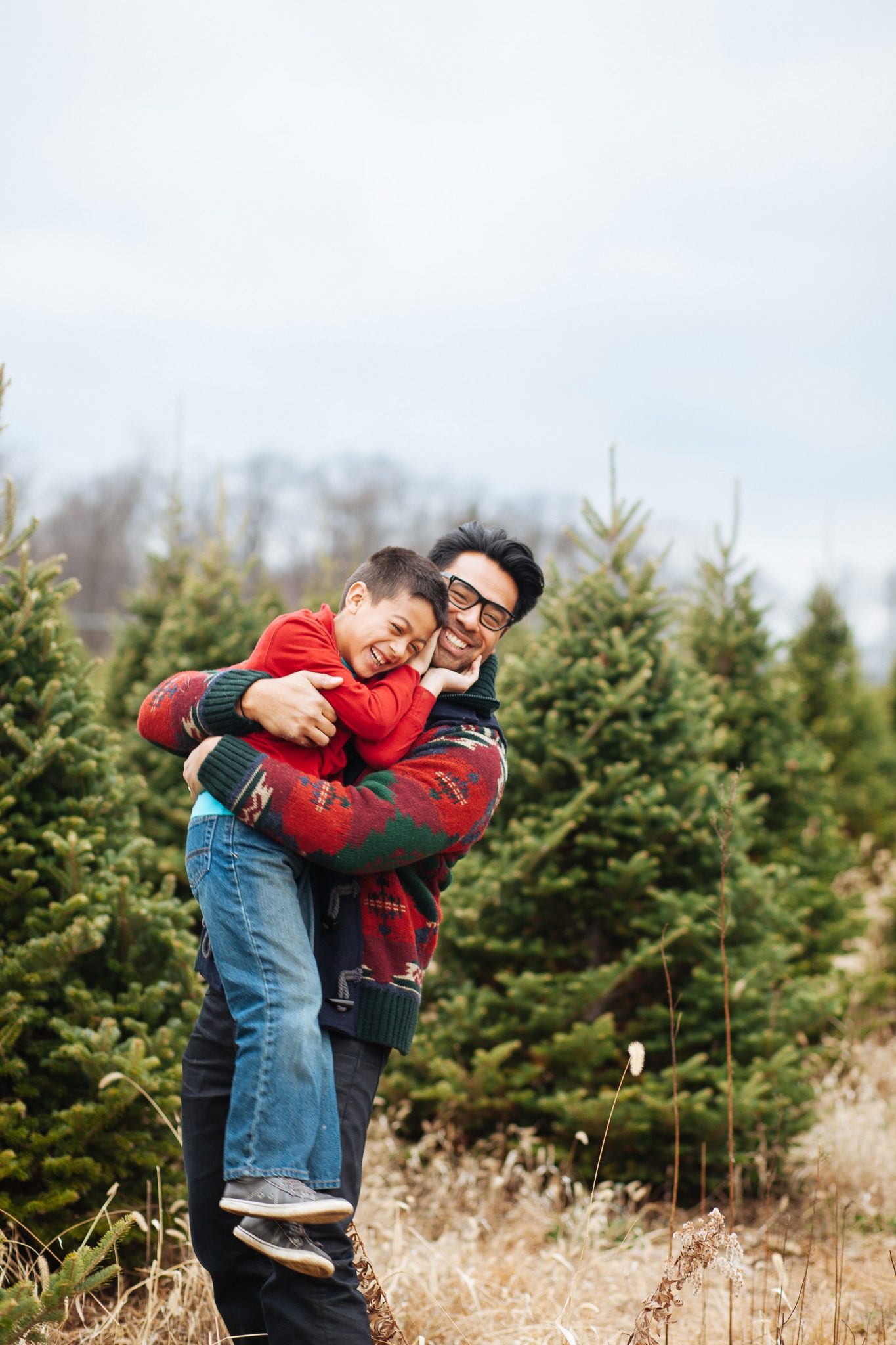 5 Best Christmas Tree Lots In Orange County