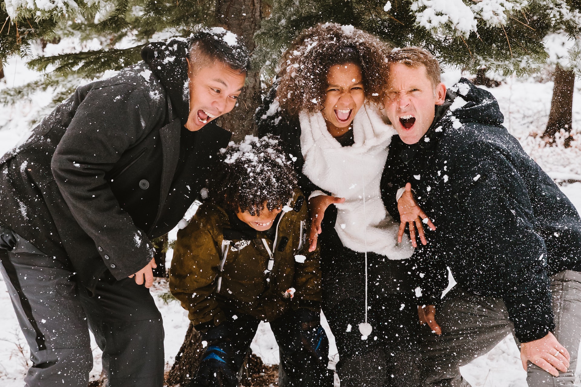 15 Best Winter Activities To Do In Orange County