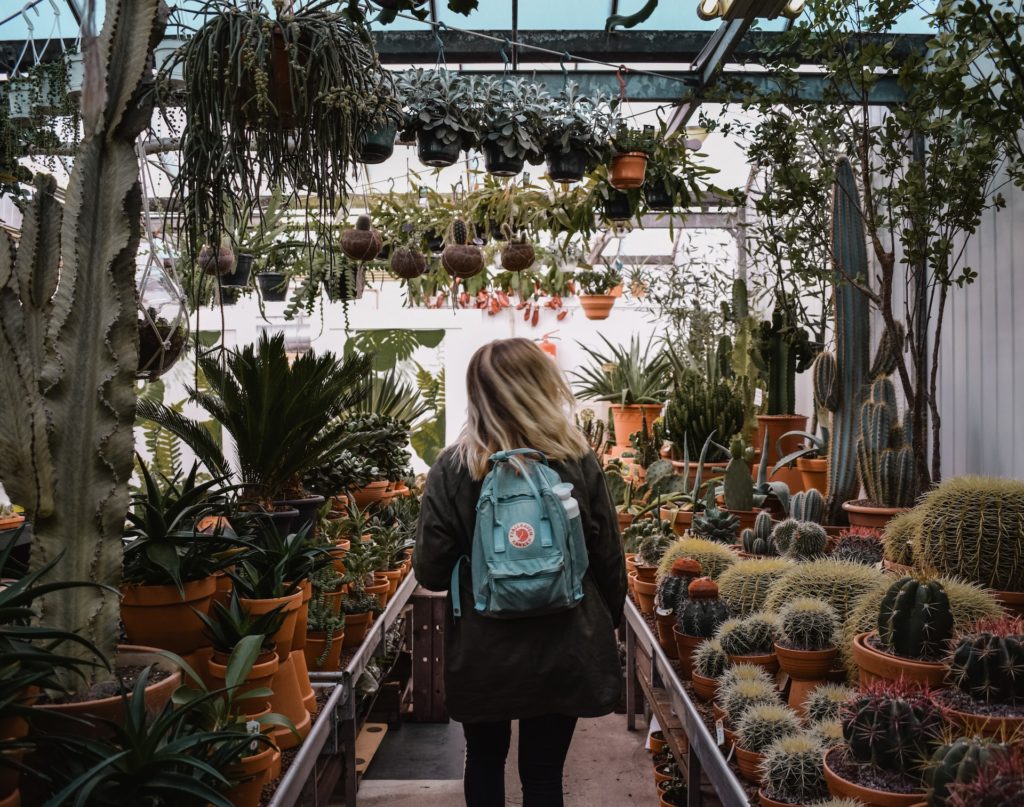 3 Best Garden Centers In Orange County