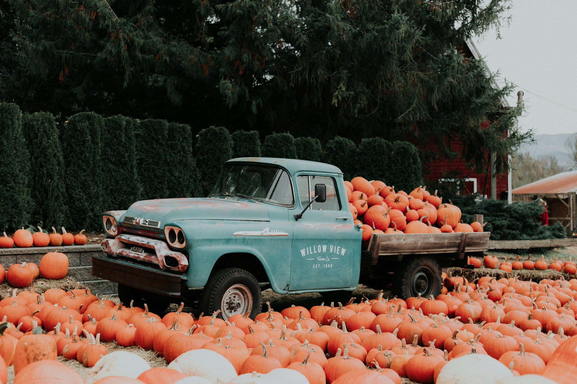 Events in Orange County: 9/26/25