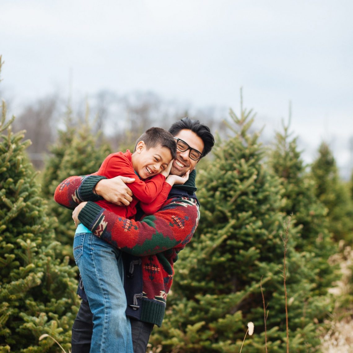 5 Best Christmas Tree Lots In Orange County Your Orange County